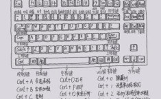 怎样学电脑制表 教我学电脑打字做表格