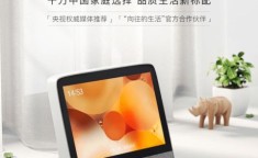 小度语音智能闹钟 小度语音智能闹钟pro酒店版破解