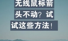 电脑鼠标动不了 鼠标有箭头但是动不了