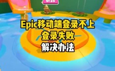 epic你似乎发送了两次请求 epic提示登录过于频繁