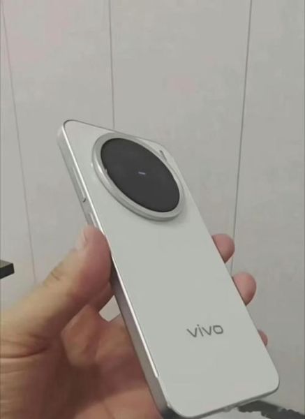 vivo X200 Pro mini后置摄像头拍照体验如何？-红绒网