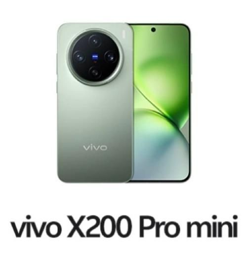 vivo X200 Pro mini适合哪些用户群体？日常使用便捷吗？-红绒网