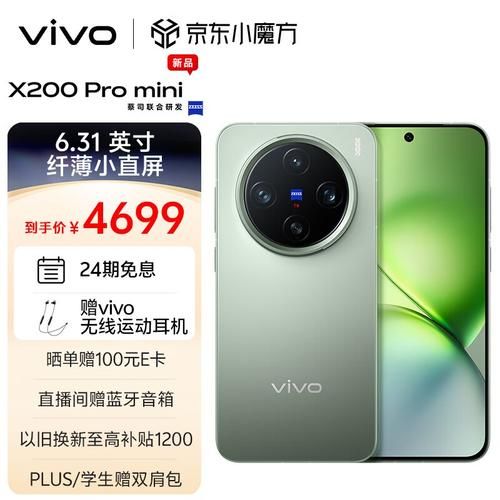 vivo X200 Pro mini用户反馈如何？市场评价积极吗？-红绒网