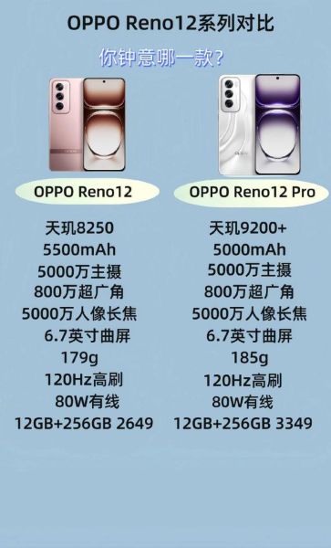 OPPO Reno 13 Pro搭载哪款处理器？性能体验如何？-红绒网