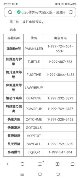 侠盗猎车手圣安地列斯的秘籍 圣安地列斯IOS作弊码-红绒网